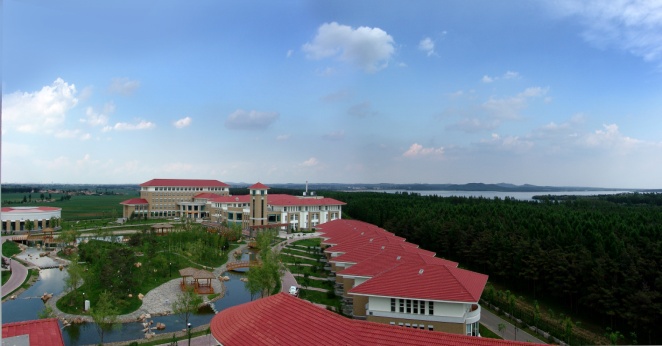 图片11.jpg
